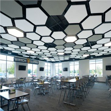 Canopies Acoustic Ceiling