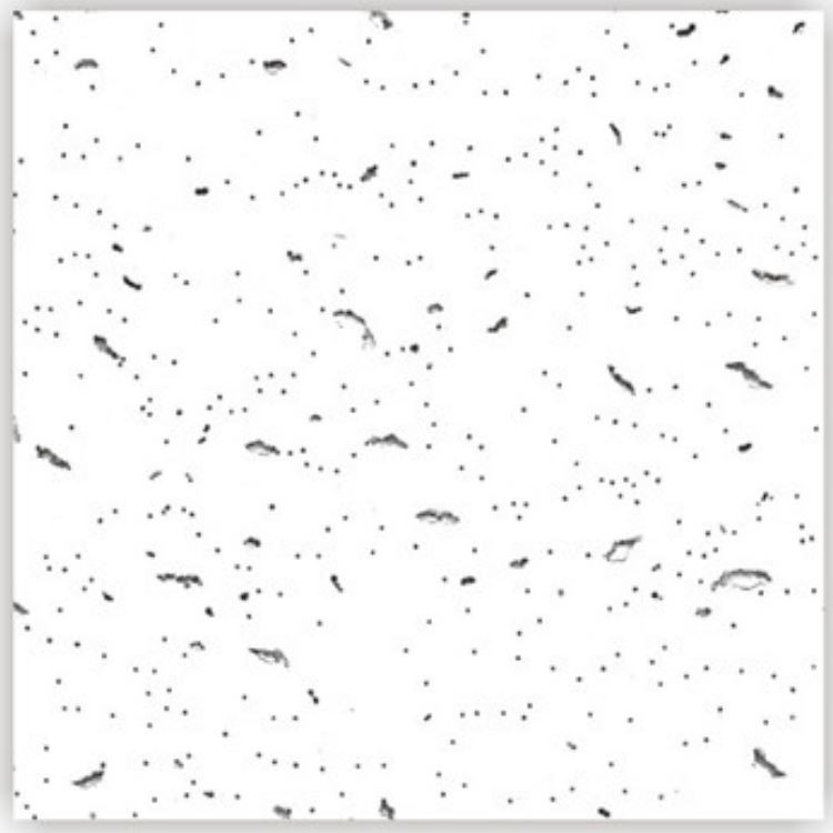 A004.png A004.png