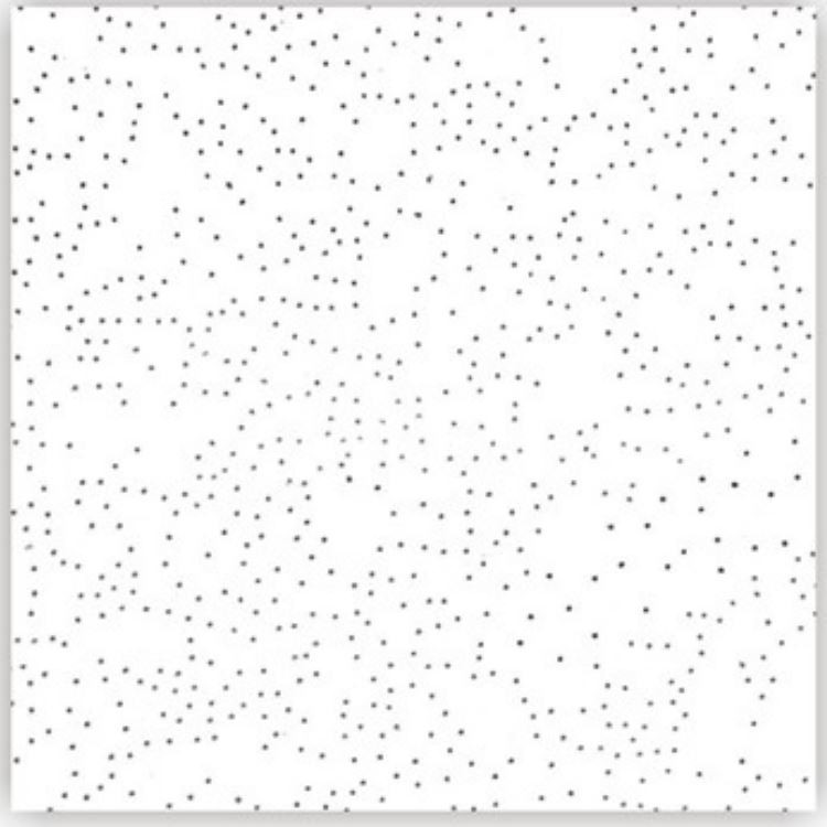 A005.png A005.png